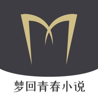 梦回青春小说