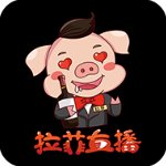 拉菲直播app