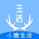 小鹿生活