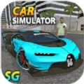 汽车模拟器SG(Car Simulator SG)