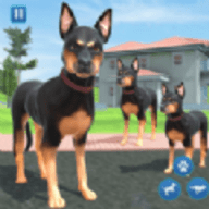Dog Life 3D（狗生活模拟器3D）