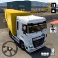 World Truck City transport 3D（世界卡车城市运输3D）