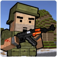 Block Soldier Survival Games（玩具战队射击）