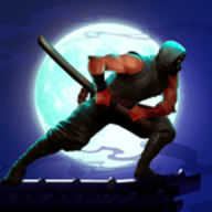 ninja warrior 2（暗影刺客2）