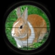 Rabbit Hunting 3D（兔子狩猎3D）