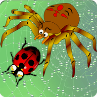 愤怒的蜘蛛(AngrySpiders)