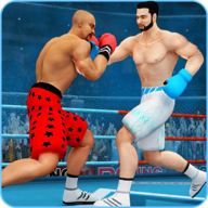 ninja punch boxing warrior（拳击比赛跆拳道）