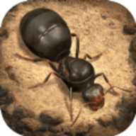 小小蚁国蚁族时代