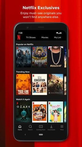 网飞Netflix播放器