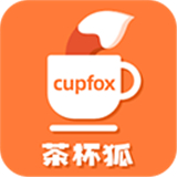 cupfox茶杯狐