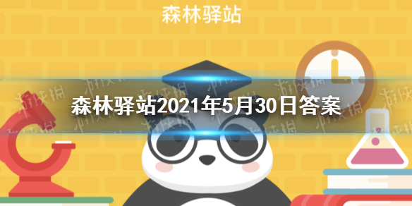 金鸡报晓的金鸡是哪种鸡-森林驿站2021年5月30日答案