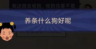 王蓝莓的幸福生活1-17怎么通关-1-17养宠物关卡攻略