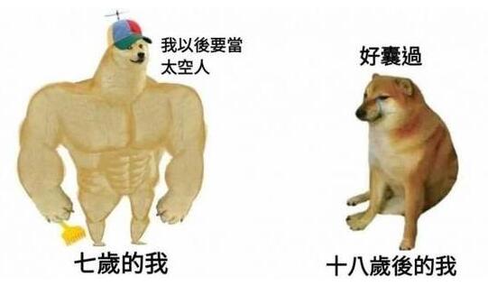谢谢你cheems表情包-抖音谢谢你cheems表情包分享