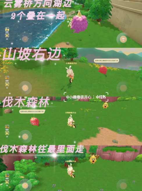 摩尔庄园怎么与拉姆玩耍？与拉姆玩耍任务攻略图片5