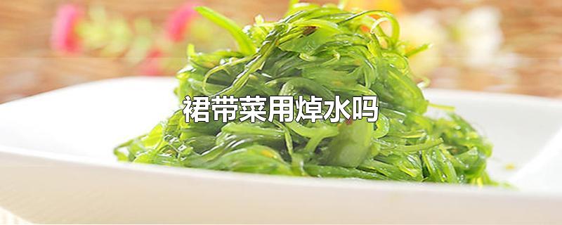 裙带菜用焯水吗-最新裙带菜用焯水吗整理解答