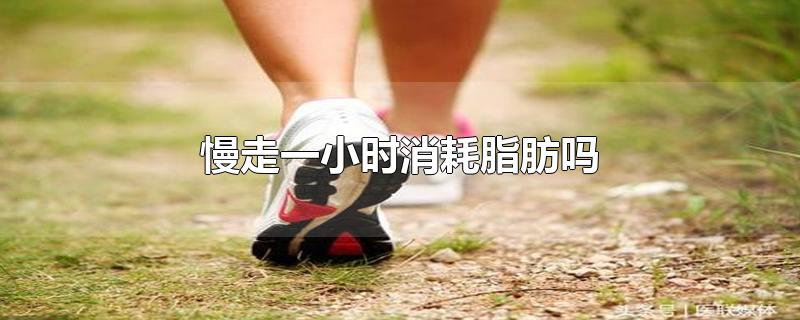 慢走一小时消耗脂肪吗-最新慢走一小时消耗脂肪吗整理解答