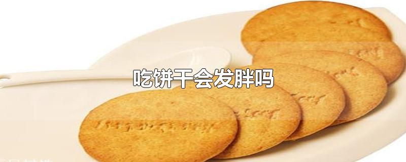 吃饼干会发胖吗-最新吃饼干会发胖吗整理解答