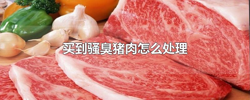 买到骚臭猪肉怎么处理-最新买到骚臭猪肉怎么处理整理解答