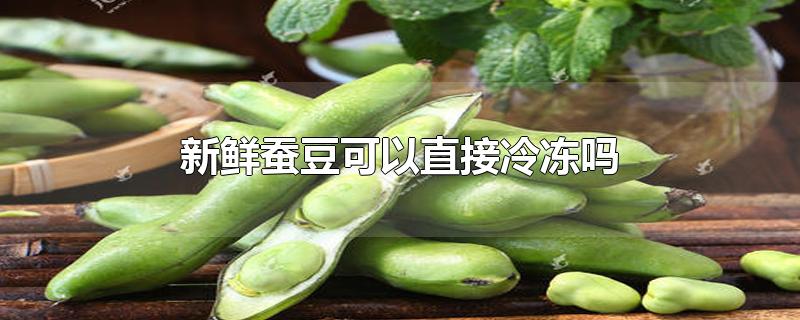 新鲜蚕豆可以直接冷冻吗-最新新鲜蚕豆可以直接冷冻吗整理解答