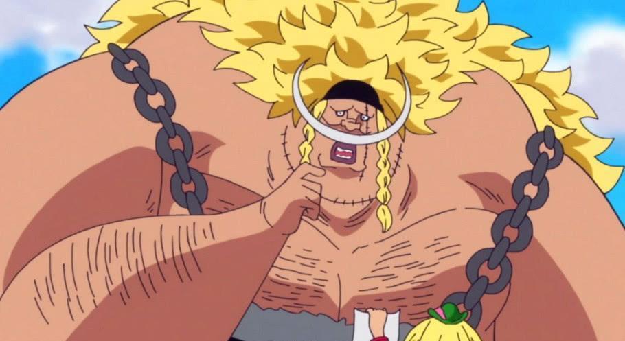 海贼王：谁最有可能成为四皇候选人，这几个，战斗力超皇