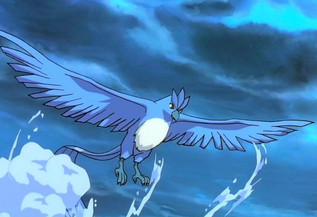 《宝可梦》来源与生态：漂亮的急冻鸟，原型是现实高颜值鸟类！