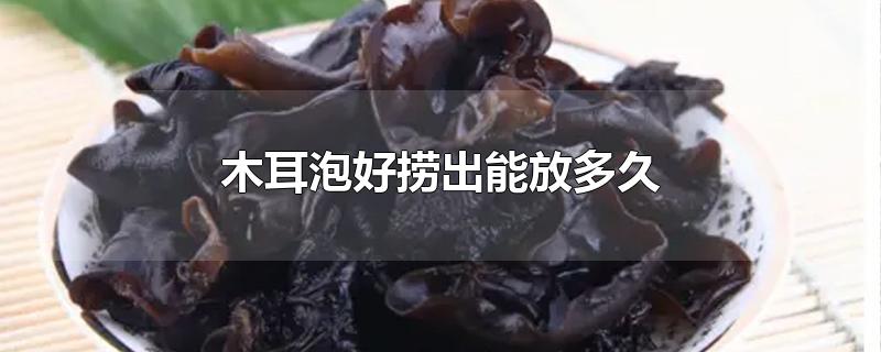 木耳泡好捞出能放多久-最新木耳泡好捞出能放多久整理解答