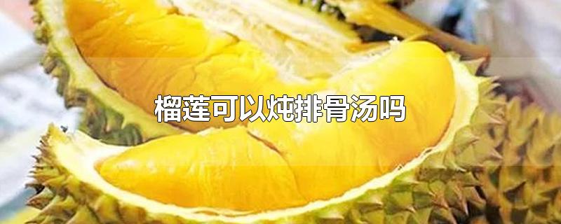 榴莲可以炖排骨汤吗-最新榴莲可以炖排骨汤吗整理解答