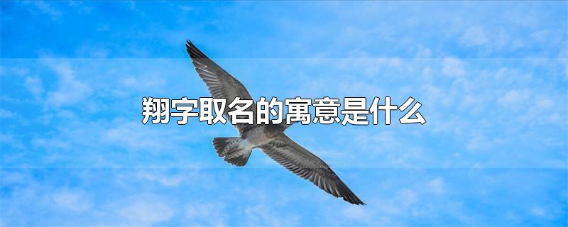 翔字取名的寓意是什么-最新翔字取名的寓意是什么整理解答