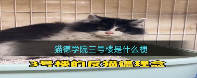 猫德学院三号楼是什么梗/意思-抖音热梗含义出处