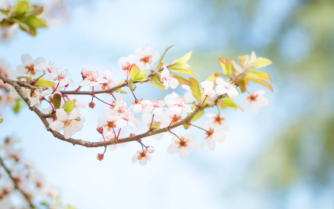 烟广告语大全有哪些-最新烟广告语大全37句推荐