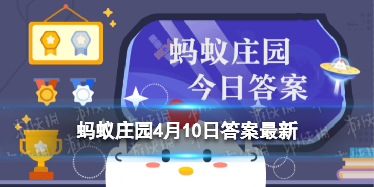 小鸡宝宝考考你吃火锅时肉丸什么时候吃更合适