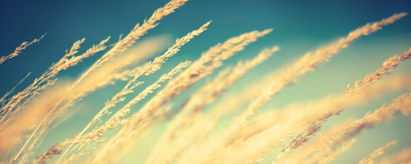 北风像狮子一样狂吼仿写句子精选有哪些-最新北风像狮子一样狂吼仿写句子精选30条推荐