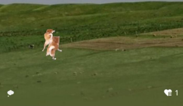 微信上线“农场”状态怎么玩