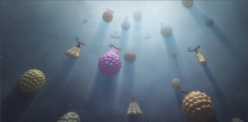 《海贼王》恶魔果实出现了那么多，为何草帽一伙从未得到一个恶魔果实？