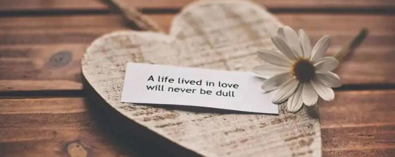 赞美学生的简短句子 赞美学生的简短句子有哪些_最新赞美学生的简短句子64句推荐