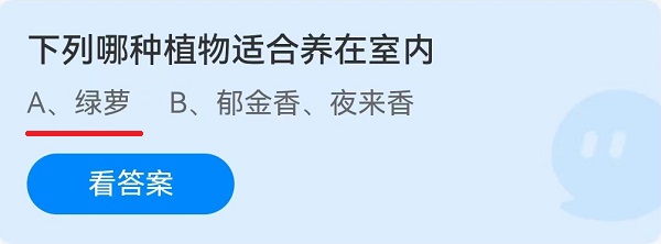 下列哪种植物适合养在室内