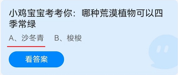 小鸡宝宝考考你哪种荒漠植物可以四季长春？