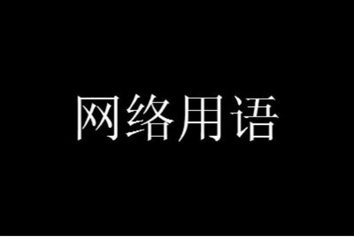 vers代表1还是0男生说自己是vers是什么意思