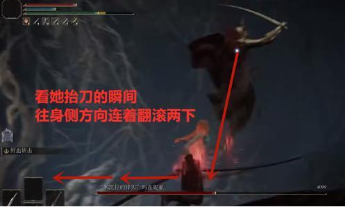 艾尔登法环女武神水鸟怎么躲-艾尔登法环