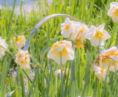 泪崩的伤感签名短句-伤心的个性签名看到流泪