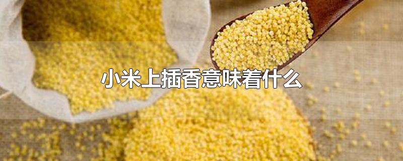 小米上插香意味着什么-最新小米上插香意味着什么整理解答