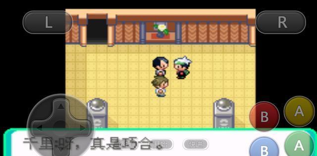 口袋妖怪：NPC隐藏的路线！逆向挑战道馆的成神之路！这可……！