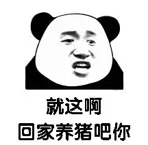 yn下载5