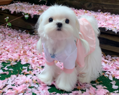 520一个人过的心酸语录-一个人过节的悲伤说说