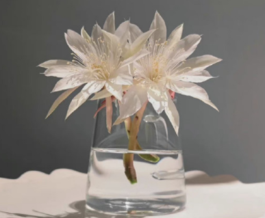 2022最火的个性超拽签名-一起做一个酷酷拽拽的人吧