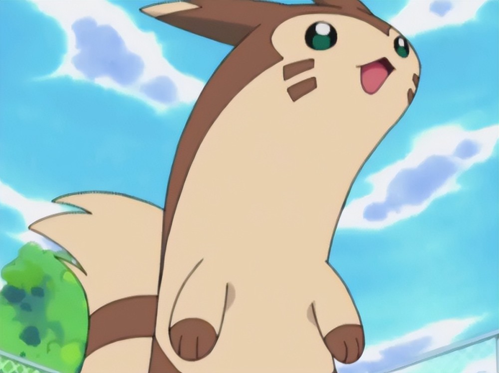 《宝可梦》来源与生态：大尾立的现实颜值很高？甚至被作为宠物？