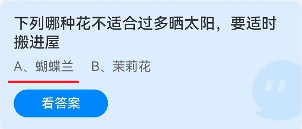 下列哪种花不适合过多晒太阳，要适时搬进屋？