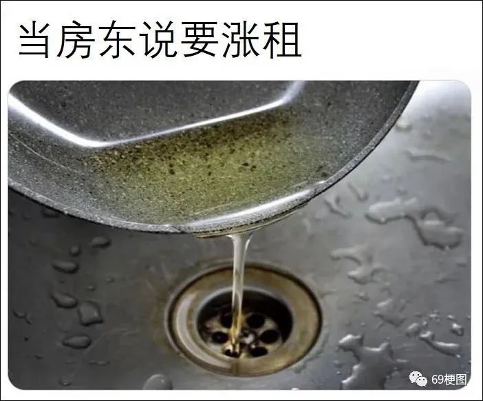 梗图合集：成为宝可梦训练师吧！儿子