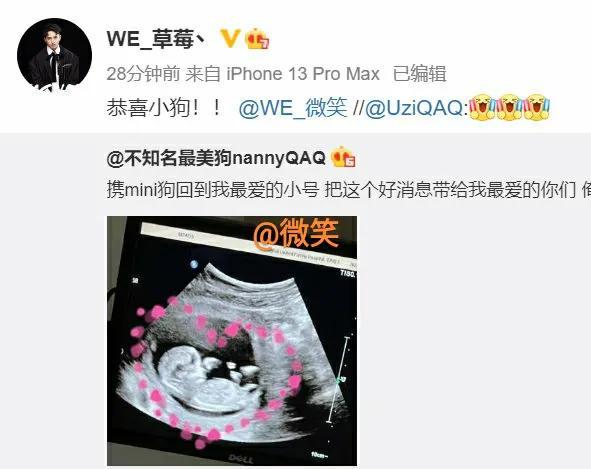 “微笑成最大输家”，Uzi老婆宣布怀孕，原来再次退役是为了孩子