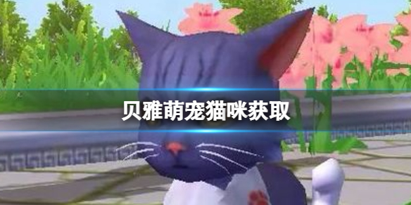 创造与魔法贝雅萌宠猫咪获取-猫咪获取方法